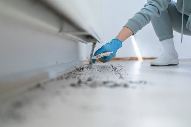 Professional Pest Control in Springfield, OR